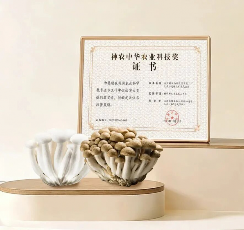 院企合作助推金針菇新品種“華金45”自主育種技術(shù)突破與知識(shí)產(chǎn)權(quán)服務(wù)升級(jí)